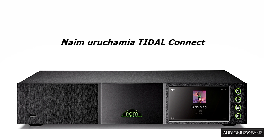 naim tidal connect firmware update